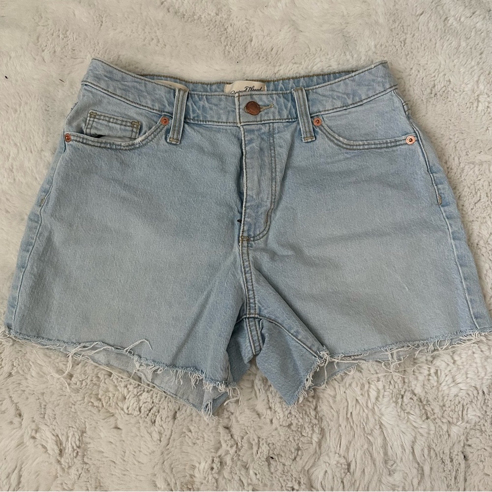 Vintage Denim Shorts
